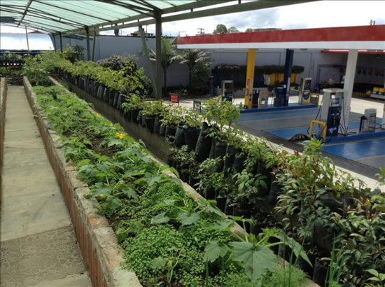 Una estación de servicio única en el mundo