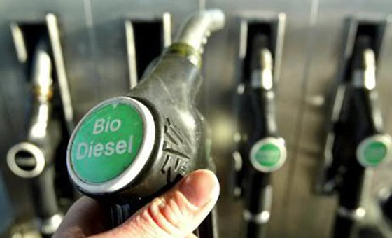 Biodiesel: pese a la obligación legal, aun no se cumple el corte obligatorio