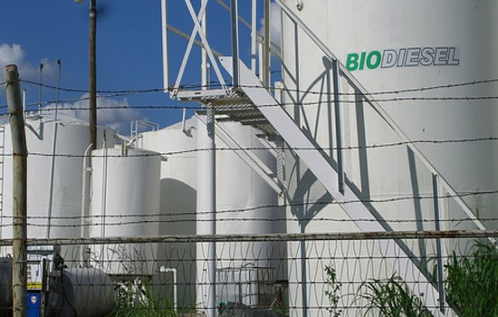 Soja en baja: buen momento para aumentar la mezcla del biodiesel en el mercado interno