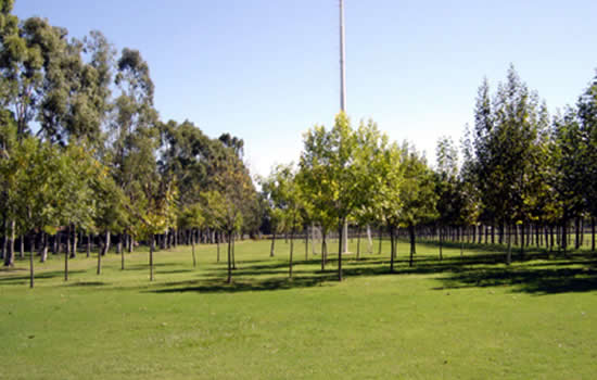 El sindicato de estaciones de servicio de Santa Fe comienza el año anunciando beneficios