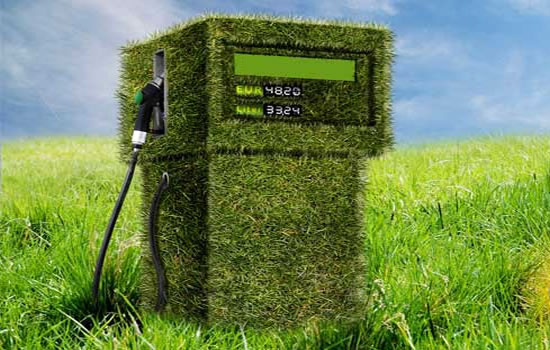 Los biocombustibles y los recaudos para evitar inconvenientes en las instalaciones