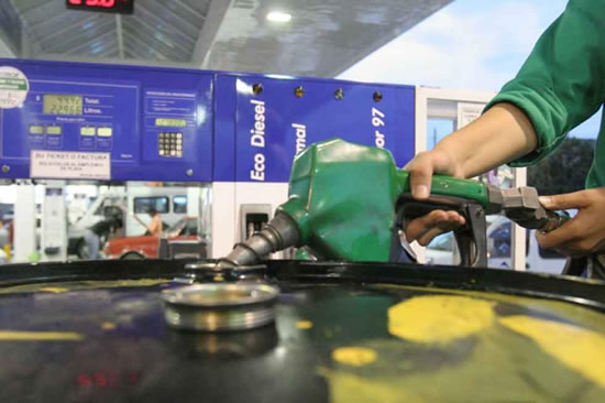 ¿Qué actividad económica consume más naftas y gasoil?