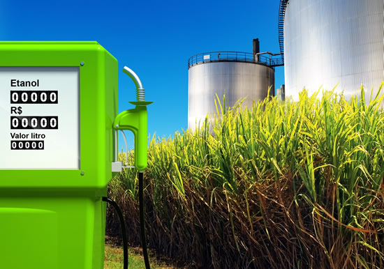 Para sumar rentabilidad proponen que las estaciones de servicio se conviertan en pequeñas refinadoras de biocombustibles