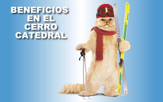 YPF refuerza su estrategia de fidelización de clientes en las zonas turísticas