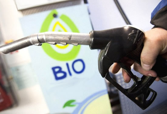 Estaciones de servicio en alerta por mayor utilización de biocombustibles