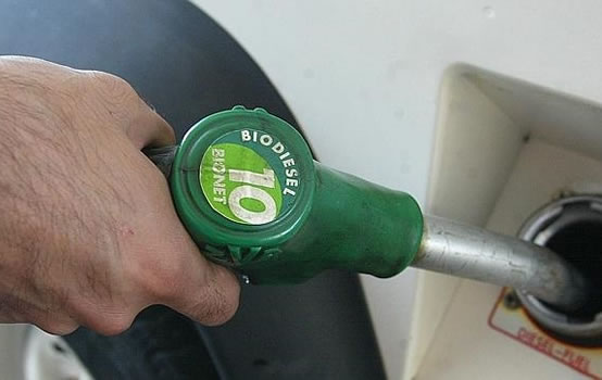 El Gobierno también prepara un incremento del corte obligatorio en el gasoil