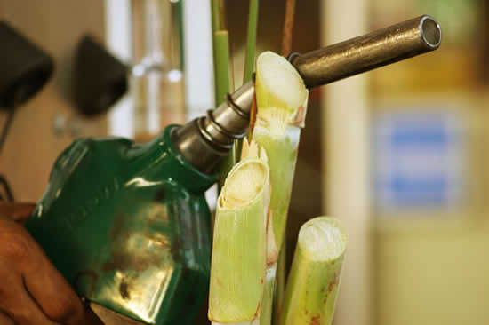 Disconformes con el 12 por ciento actual, Diputados piden elevar el corte de las naftas al 15