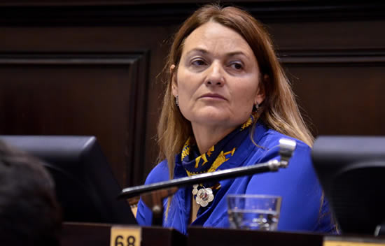 Diputada Provincial quiere abordar la problemática de las Estaciones Bonaerenses