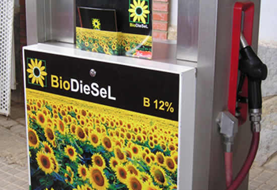Empresarios del biodiesel aseguran que están dadas las condiciones para elevar el corte