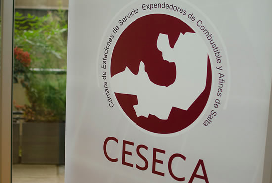 Los desafíos de María del Carmen Buccolini como nueva presidente de CESECA