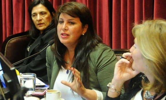 En el Congreso  se profundiza la polémica por el ITC diferenciado