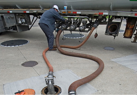 Destacan la competitividad entre las Estaciones Blancas y las de Bandera