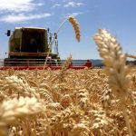 Estaciones reclamarán los mismos beneficios impositivos que las cerealeras