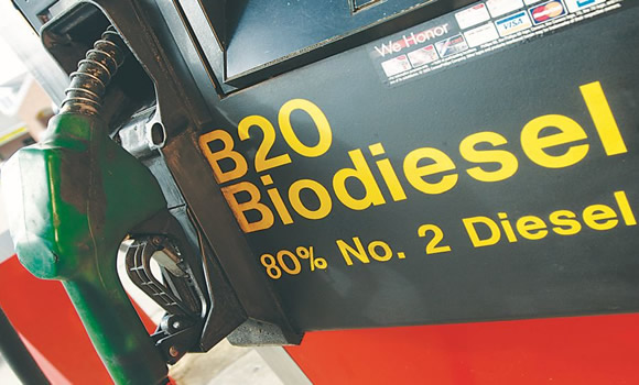 El aumento del corte de biodiesel a la espera de una decisión política
