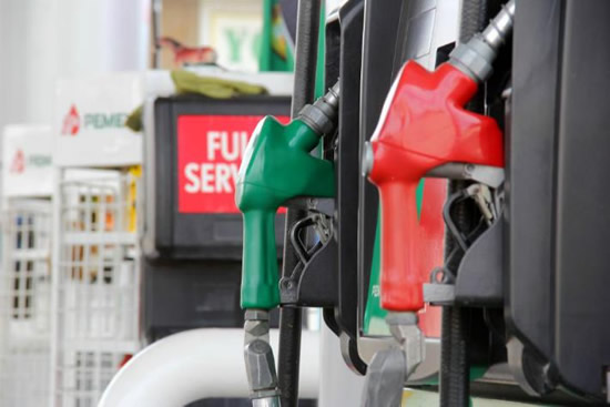 ¿Cuánto le queda de margen a la Estación de Servicio por cada litro vendido?