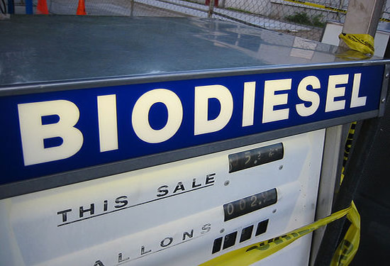 Consideran que aún no es posible instalar una red de Estaciones de Servicio de biodiesel