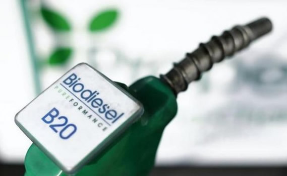 Advierten resistencia de automotrices y petroleras para aumentar el corte de Biodiesel
