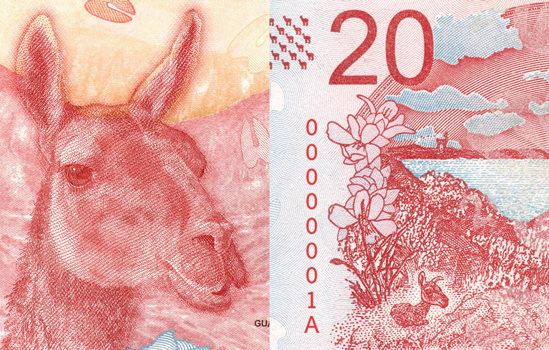 El BCRA pone en circulación el nuevo billete de curso legal de $20 con la imagen del guanaco