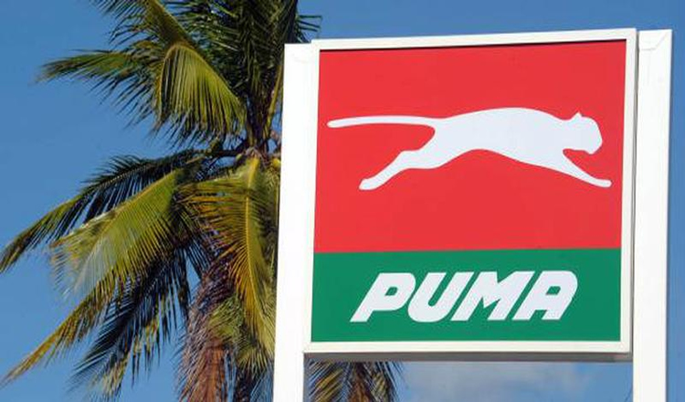 Puma sigue creciendo: si concreta la compra de Oil será la cuarta empresa del país en cantidad de Estaciones