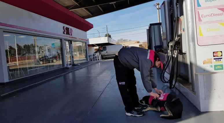 Estacioneros de bandera también exigen a petroleras que normalicen las entregas de combustibles