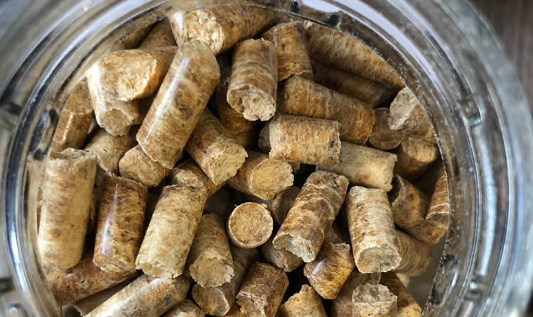 Opción ecológica y económica: Promueven el uso de pellets para calefacción en Estaciones de Servicio