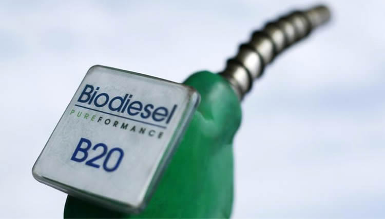 Legisladores reclaman incrementar el corte de Biocombustibles en el gasoil