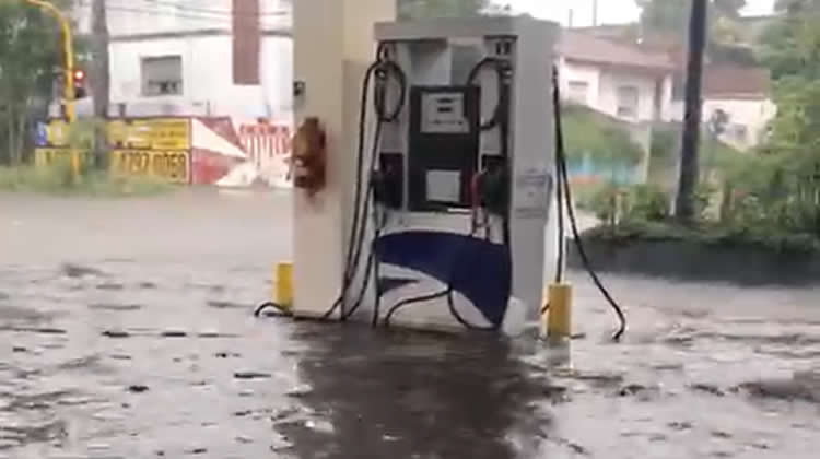 Las Estaciones blancas se mantienen “a flote” contra cualquier tormenta