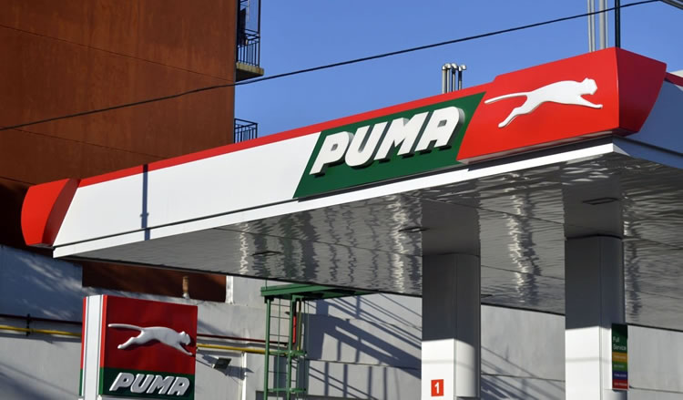 Nueva CEO de Puma Energy