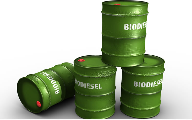 Elaboradoras de Biodiesel reclaman la urgente publicación del precio para el mercado interno
