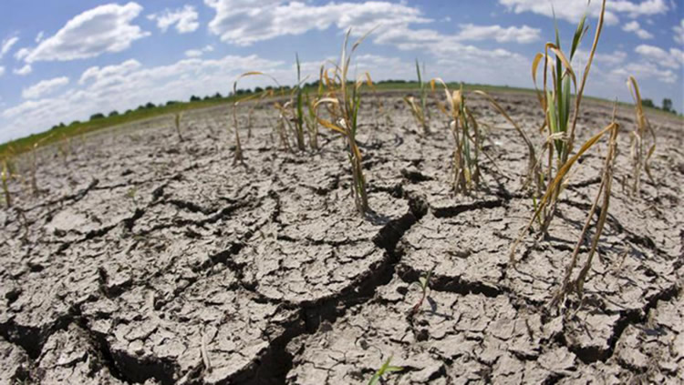 La sequía suma problemas a expendedoras del centro argentino