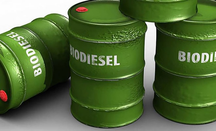 Empresas de biocombustibles suman más problemas: un litro de petróleo sale más barato que un kilo de soja