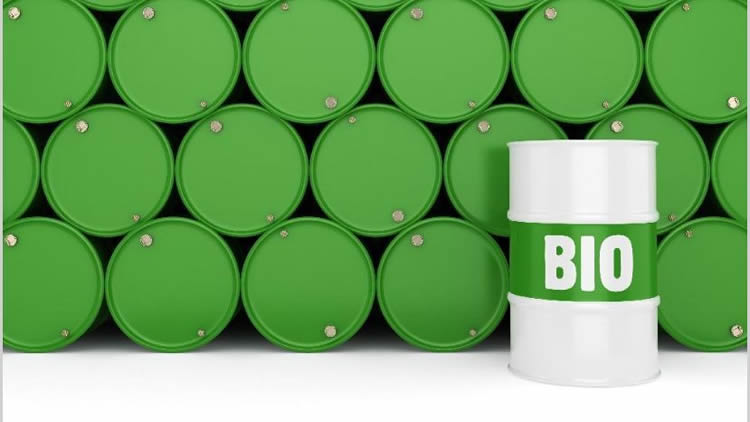 Diputados reclaman un precio sostén para los biocombustibles