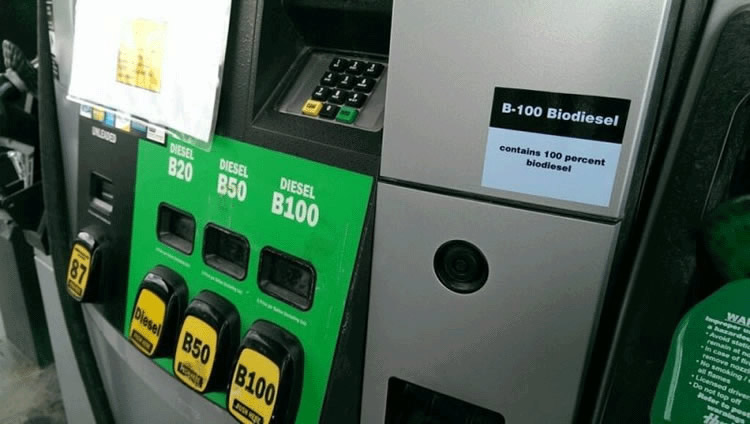 Evalúan la posibilidad de que las Estaciones de Servicio incorporen surtidores que expendan sólo biodiesel
