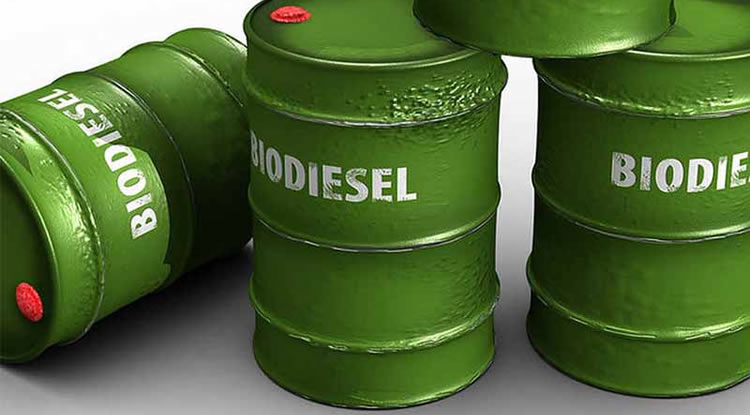 ¿Cuánto bajaría el precio del gas oil si se quitara la mezcla del 5 por ciento de biodiesel?