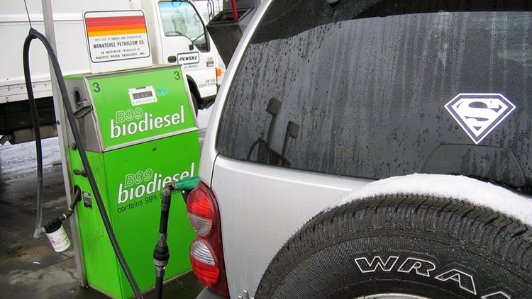 Estaciones de Servicio proponen integrarse a la cadena de comercialización de los biocombustibles