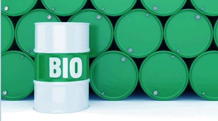 El oficialismo propone reducir a la mitad la mezcla de Biodiesel en el gasoil