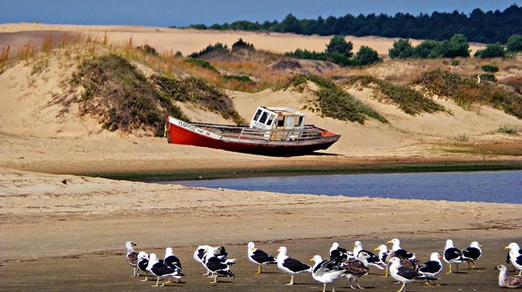 Mañana se lanza edición 2021 de “Programa Circular Uruguay”