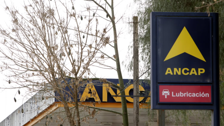 ANCAP: “La libertad de expresión garantiza a cualquier ciudadano u organización a emitir sus ideas sin restricción”