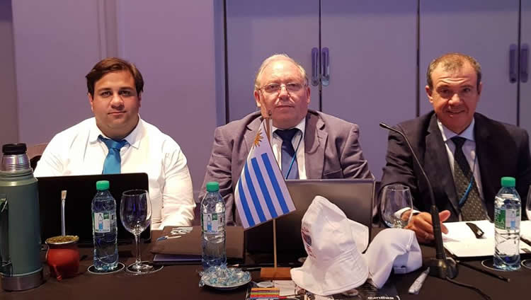 Daniel Añón: “Viendo otros mercados del combustible no tengo dudas que el uruguayo es el mejor”