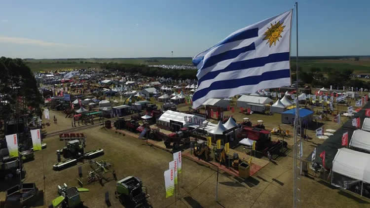 Presentan soluciones para la gestión de flotas a través de la red de Estaciones ANCAP