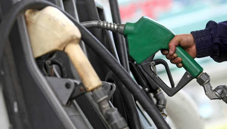 El aumento del bioetanol permitiría que no haya faltantes de nafta en las Estaciones de Servicio