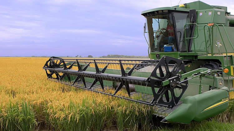 Movimiento “Un Solo Uruguay”: “Los motores de la economía se mueven a gasoil, los votos a nafta”