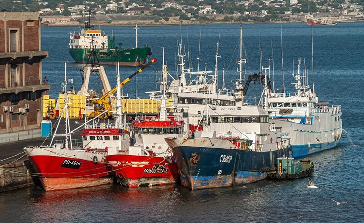 Gasoil Marino: Advierten que dos aumentos de precio en 15 días hizo que buques pesqueros debieran suspender actividades