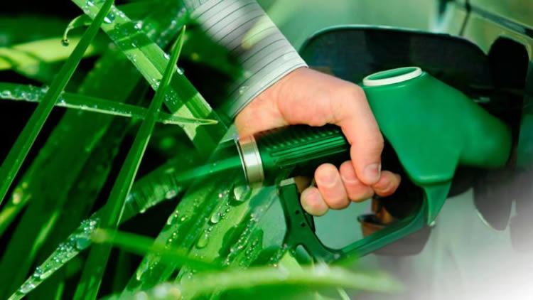 Autorizan una nueva suba del bioetanol: ¿Qué sucederá con los precios de los combustibles?