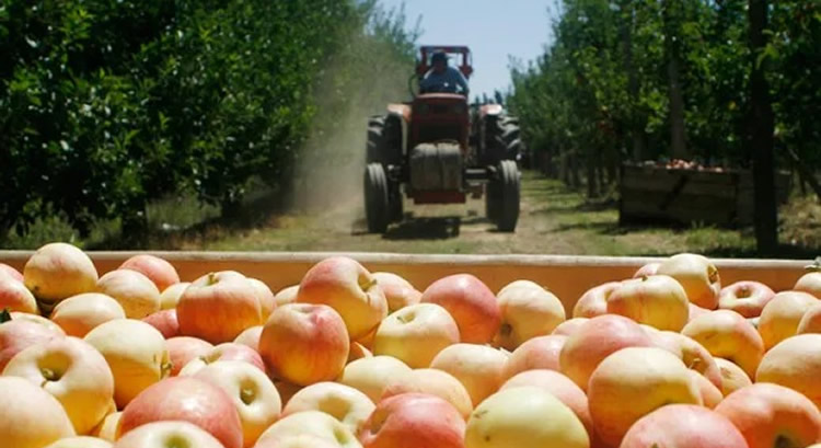 Productores ven “positiva” la decisión de mantener precio de gasoil, aunque creen que debe bajar más