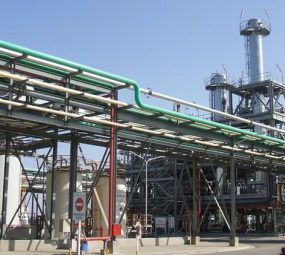 Productores de Biodiesel advierten que deberán frenar la producción