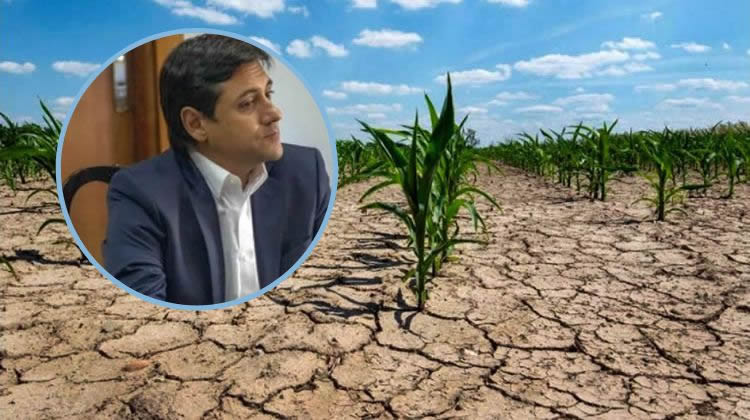 “La sequía es lo que más nos preocupa”: Desde FECRA se preparan para un bajo nivel de ventas