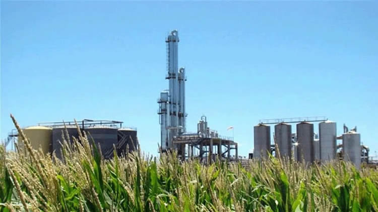 La Secretaría de Energía abrió cupos de bioetanol
