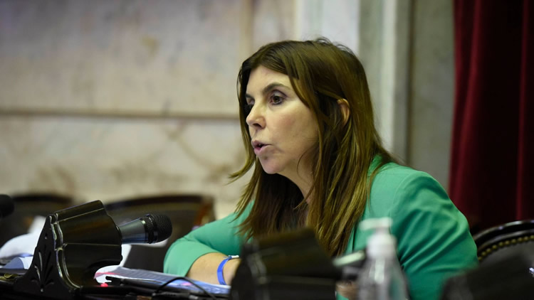 Diputados condicionan la sanción de una ley para flexibilizar las condiciones de venta de combustibles con tarjetas de crédito