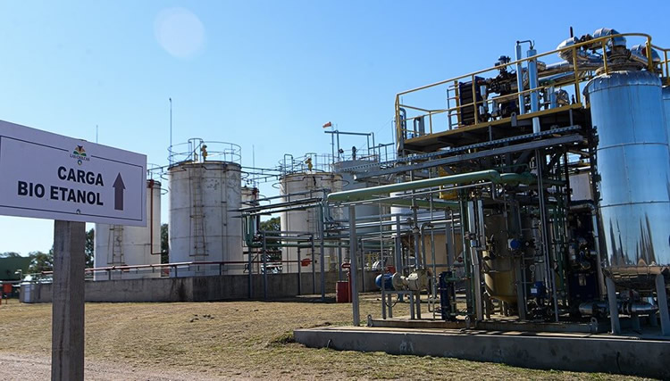 Empresas de bioetanol aseguran que el combustible vegetal es el remedio contra la escasez de naftas y la pérdida de divisas